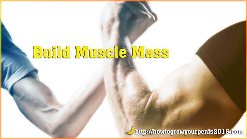 Build muscle mass